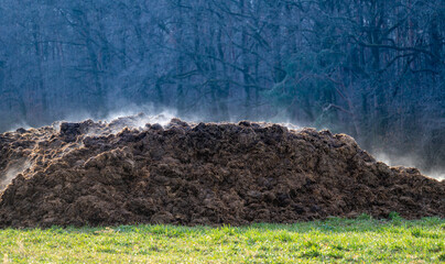 A pile of cow dung as a symbol of methane pollution of the atmosphere. The strongest greenhouse gas leading to climate change - obrazy, fototapety, plakaty
