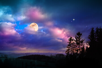 Silhouette of trees and full moon on colorful night sky.