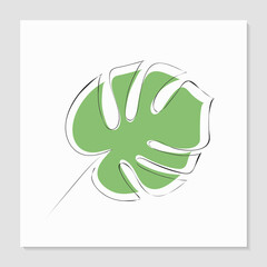 One line drawing vector monstera leaf.