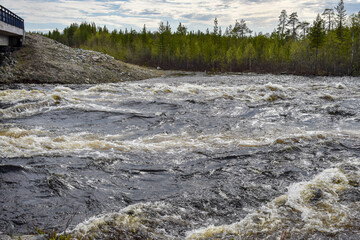 The strong stream of the forest river swirls and foams it.