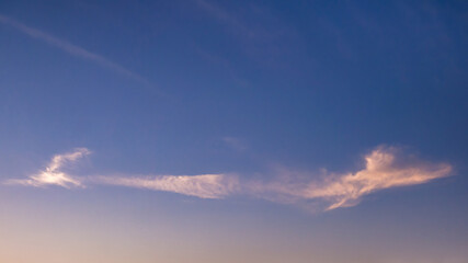 Fototapeta na wymiar A whale-shaped cloud illuminated by the sun beyond the horizon before sunrise