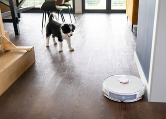 Puppy dog and vacuum cleaner robot