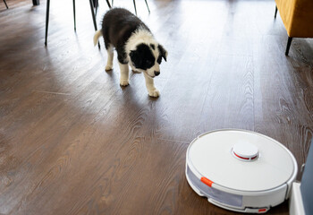 Puppy dog barking at vacuum cleaner robot