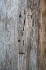 Woodgrain of an elm panel used in the construction