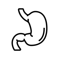 stomach human organ line icon vector. stomach human organ sign. isolated contour symbol black illustration