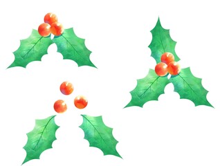 クリスマスの柊セット