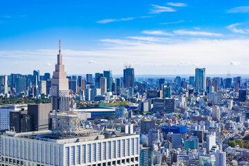 Fototapeta na wymiar 東京都庁から眺める都心部
