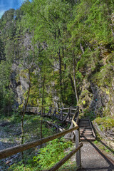 Raggaschlucht, Weg, Wald, Wanderweg, Ragga Schlucht, Schlucht, Klamm, Mölltal, Flattach, Nadelwald, Baum, Baumstamm, Bäume, Kärnten, Oberkärnten, Bach, Raggabach, Kreuzeck, Kreuzeckgruppe, eng, tief, 