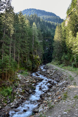 Obraz premium Raggaschlucht, Weg, Wald, Wanderweg, Ragga Schlucht, Schlucht, Klamm, Mölltal, Flattach, Nadelwald, Baum, Baumstamm, Bäume, Kärnten, Oberkärnten, Bach, Raggabach, Kreuzeck, Kreuzeckgruppe, eng, tief, 