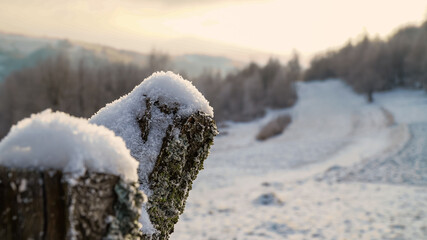 winter stump, winter landscape, snow on the stump, winter downhill 