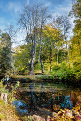 Parkanlage in der Sonne mit einem Teich und zwei knorrigen Bäumen im Vordergrund im Herbst 