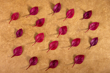 Red leaves on golden background.