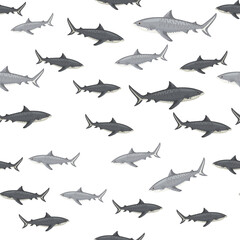 Seamless pattern Tiger shark isolated on white background. Gray texture of marine fish for any purpose.