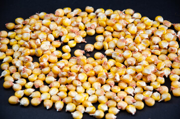 corn. yellow and red corn on a black background. corn grains