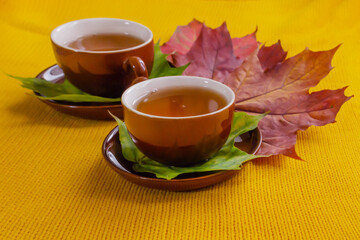 Brown cups with tea on autumn maple leaves, on a yellow knitted background