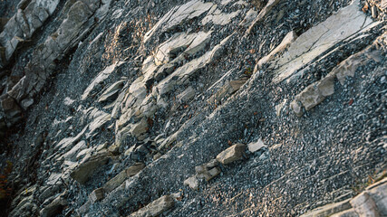 the texture of the stone on the rock