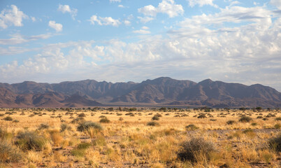 Beautiful grassland landscape with Brandberg mountain, Namibia