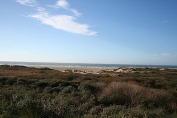 dutch dunes with sea view