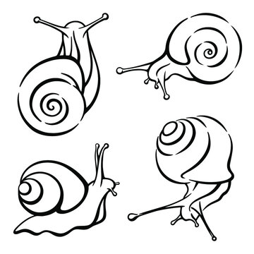 Set of vector black and white illustrations of snails