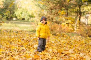 Cute toddler standing in autumn park and look the yellow leafs flying