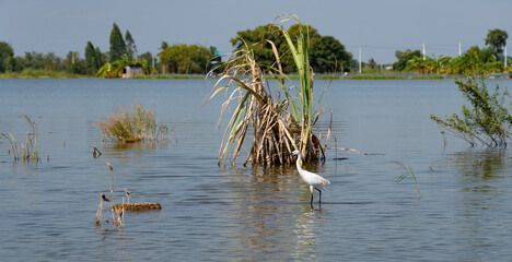 Floods, Flooded Homes, Farmland and Countryside