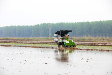 Farmers use rice transplanters to grow rice on farms, North China