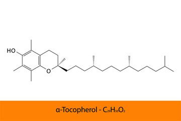 α Alpha Tocopherol Skeletal structure and molecular formula. Organic biomolecule, isolated vector illustration