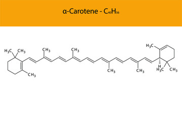 α Alpha Carotene Skeletal structure and molecular formula. Organic biomolecule, isolated vector illustration