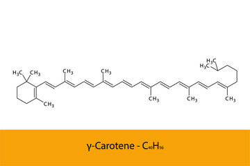 γ Gamma Carotene Skeletal structure and molecular formula. Organic biomolecule, isolated vector illustration