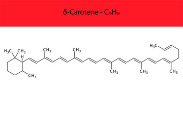 δ Delta Carotene Skeletal structure and molecular formula. Organic biomolecule, isolated vector illustration