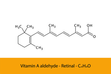 Retinal Skeletal structure and molecular formula. Organic biomolecule, isolated vector illustration