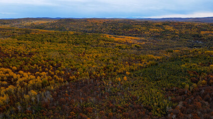 Aerial view of Red Forest on Hill Ridge and the River in Gold Autumn, Russia, Komsomolsk-on-Amure