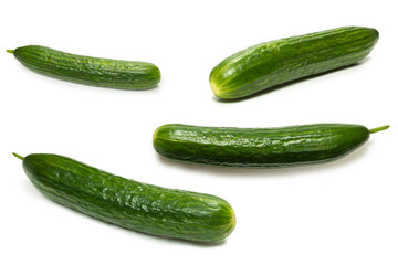 Cucumber isolated on white background.