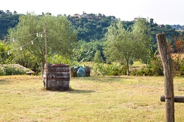 An isolated barrel in a meadow in the Tuscan countryside (Tuscany, Italy, Europe) - 470146229
