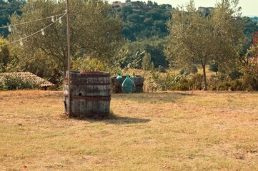 An isolated barrel in a meadow in the Tuscan countryside (Tuscany, Italy, Europe) - 470146230