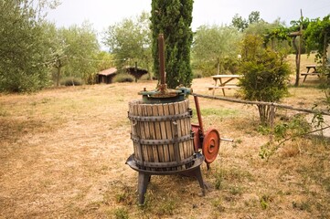 Grapes press from which wine will come out, in the Tuscan countryside (Tuscany, Italy, Europe)