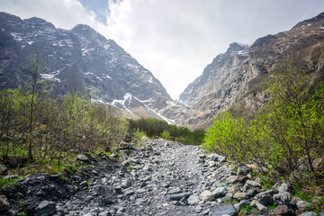 Fototapeta na wymiar Beautiful Midagrabin valley in spring in North Ossetia