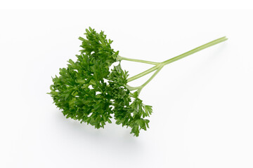 Bio parsley leaf on white background.