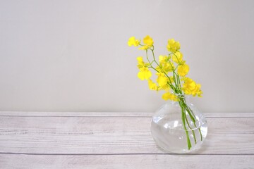 お花のある生活　黄色いお花