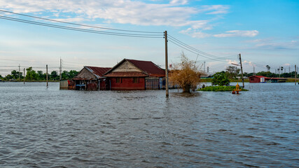 Obraz premium Floods and Disasters in Thailand