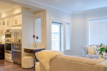 Interior design of a luxury living room