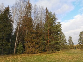late autumn in Pavlovsky Park fallen foliation and cold wind stone vase