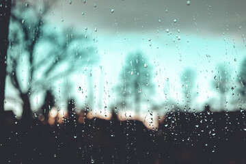 Autumn forest beauty. Golden tree leaves. Sun beam. Blue sky.