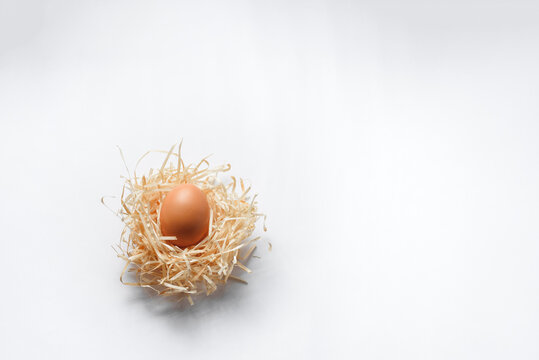 One Egg In A Straw Nest White Background