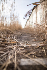 Trail is strewn with dry old stalks of reeds outside the city, next to a reservoir.