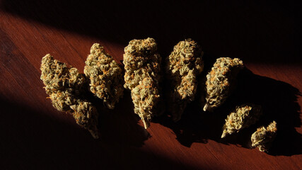Cannabis buds in row on dark wooden background. Top view, close-up of hemp dried flowers. Marijuana...