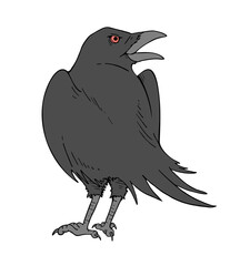 Crow illustration design