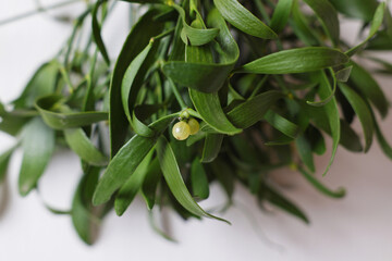 Mistletoe bunch on white background, closeup. Traditional Christmas decor