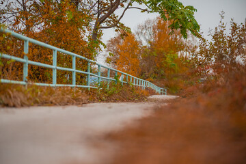 Beautiful path with blue guardrail in autumn next to Drava river in Maribor. Fall setting next to a river, lonely cold day.