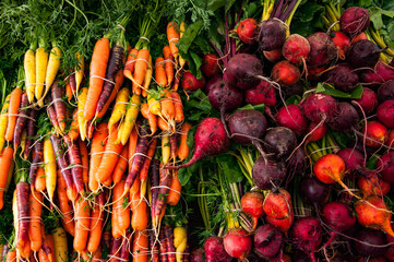 bunch of radishes